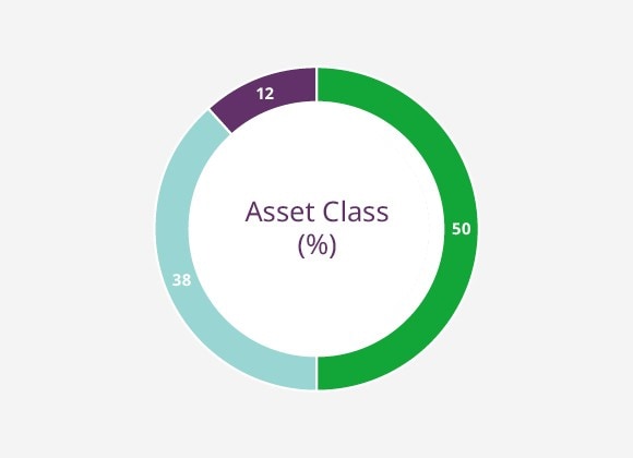 Early Stage Portfolio by Asset Class (%)