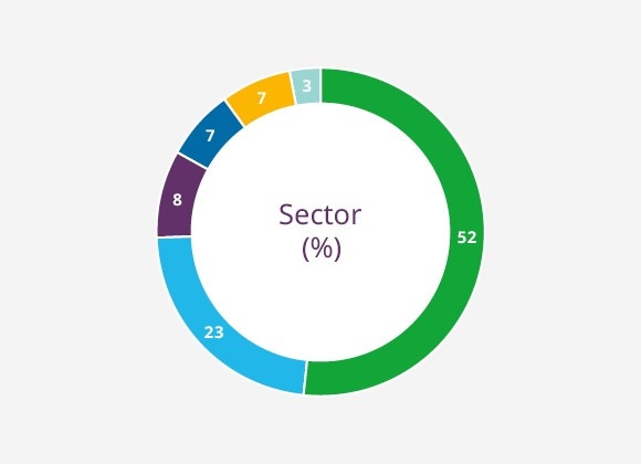Early Stage Portfolio by Sector (%)