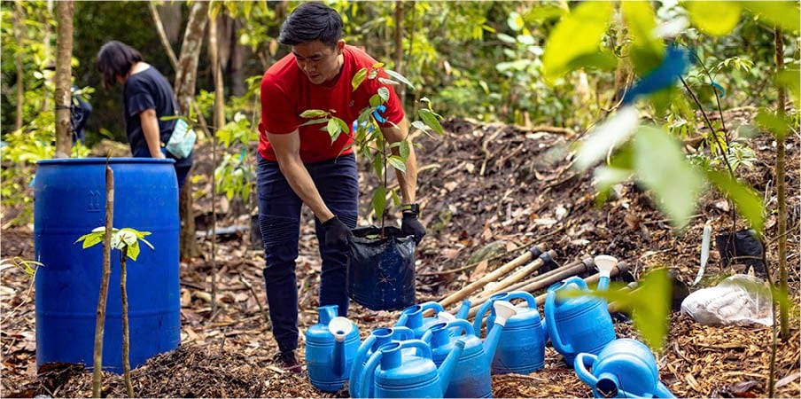 Shawn Liu, Assistant Vice President, Organisation & People planted trees in Chestnut Nature Park as part of a reforestation programme organised by Singapore's National Parks Board