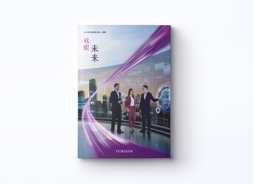 《淡马锡年度报告2024 摘要》