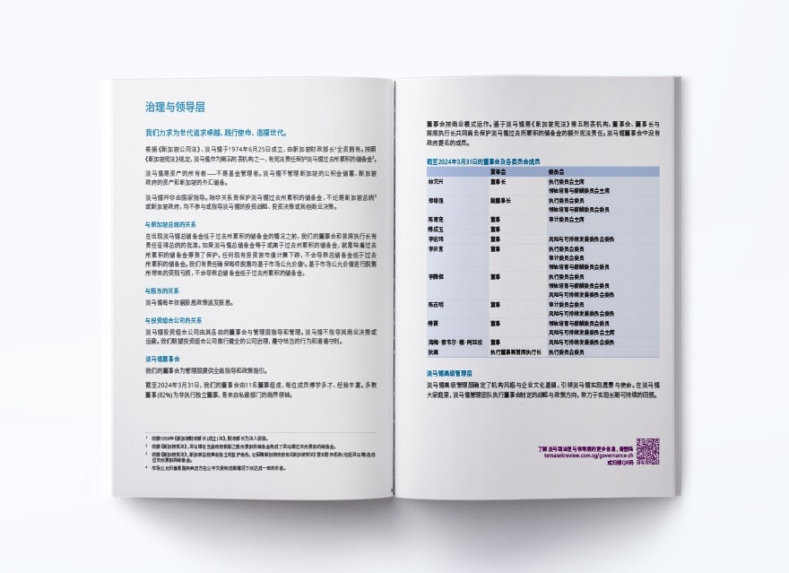 治理与领导层