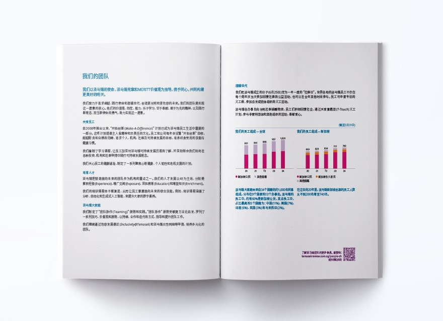 我们的团队