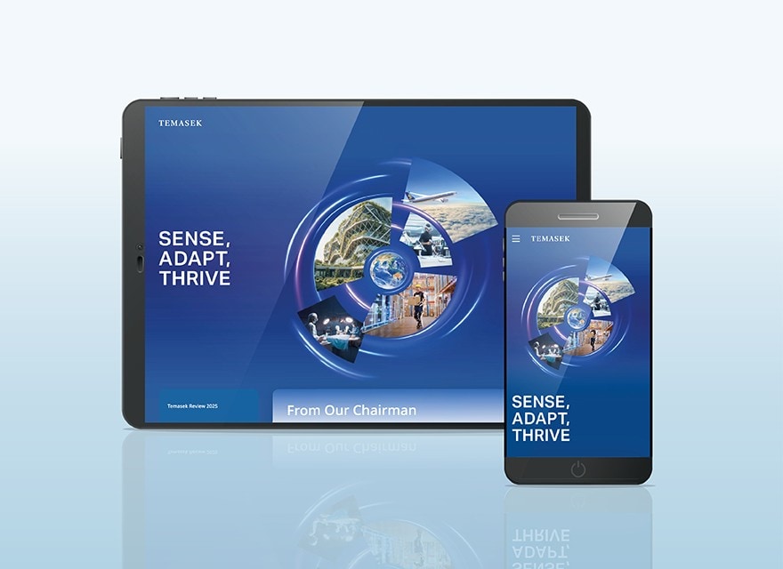 Temasek Review 2025 - full version