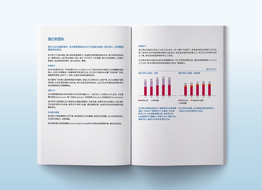 我们的团队 