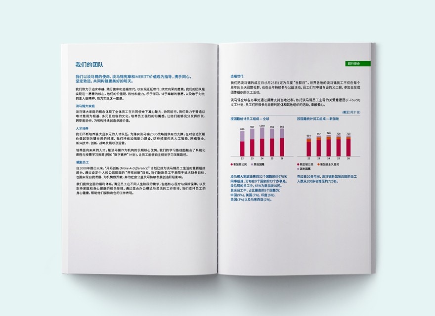 我们的团队 