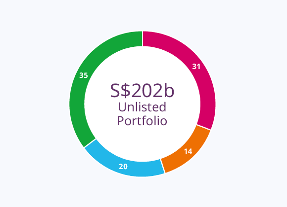 Unlisted Portfolio (%)