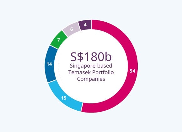 Singapore-based Temasek Portfolio Companies by Underlying Country Exposure (%)