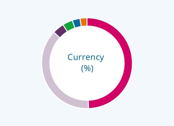 Currency (%)