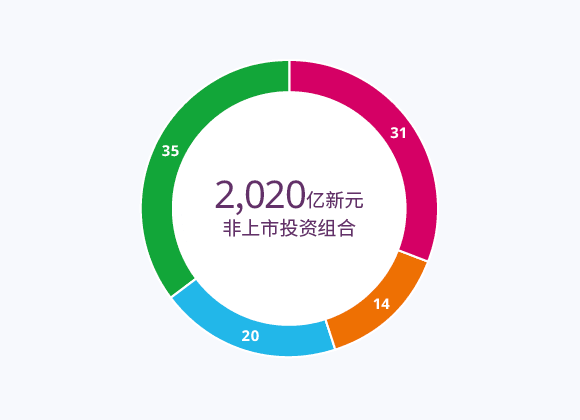 非上市投资组合 (%)