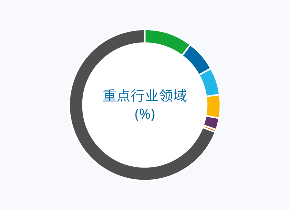 重点行业领域 (%)