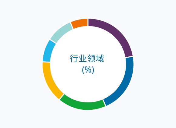 行业领域 (%)