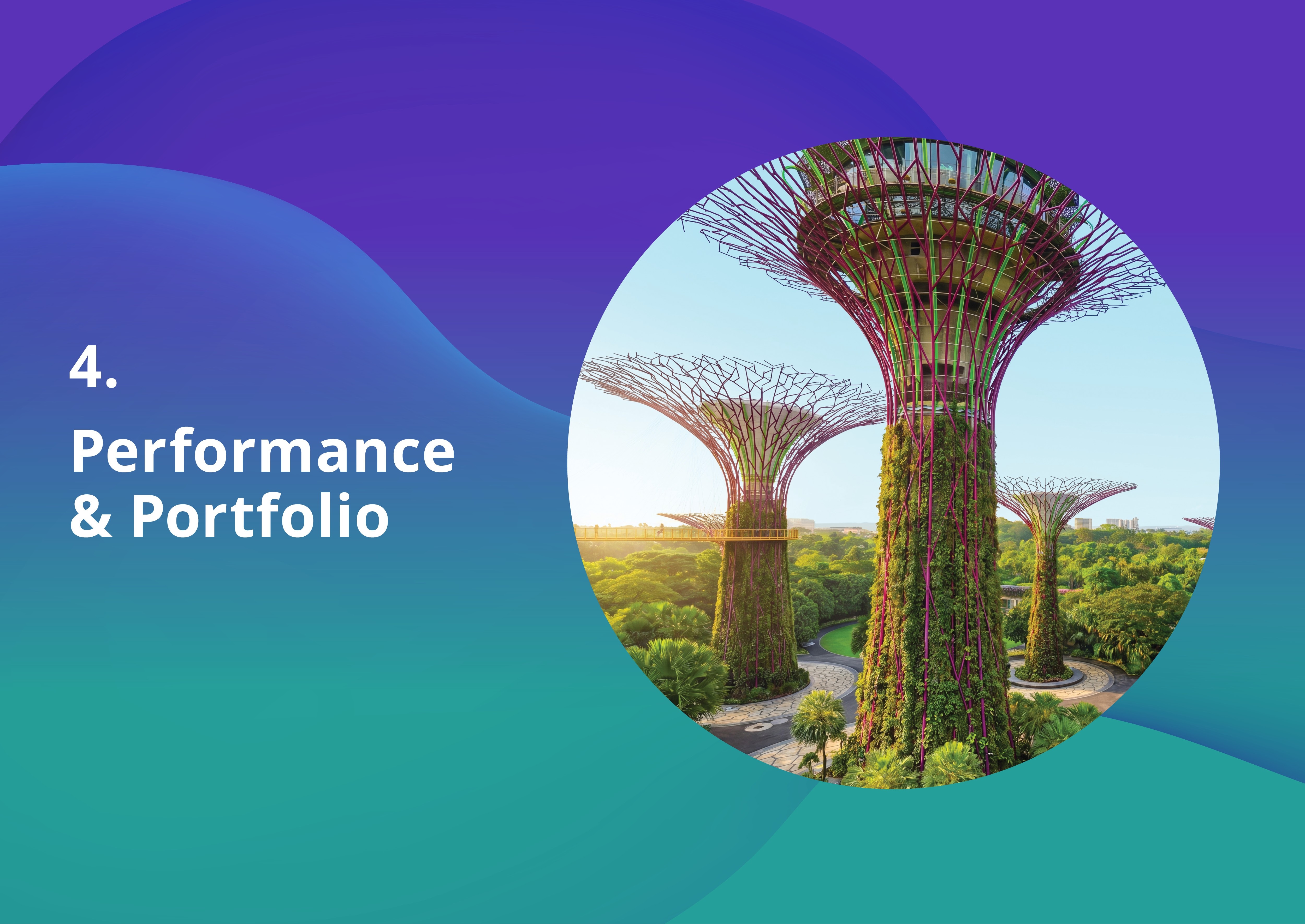 Performance and Portfolio